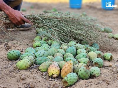 WhatsApp Image 2023-07-11 at 10.10.14 AM