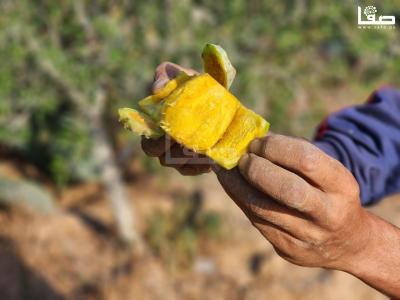 WhatsApp Image 2023-07-11 at 10.10.13 AM (1)