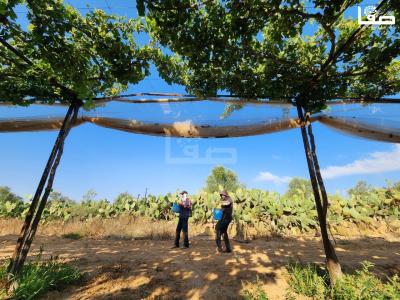 WhatsApp Image 2023-07-11 at 10.10.11 AM (2)