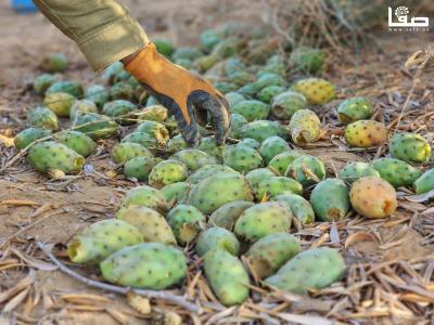 WhatsApp Image 2023-07-11 at 10.10.10 AM (1)