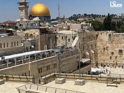 WhatsApp Image 2023-07-06 at 12.00.52 PM