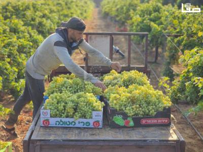 WhatsApp Image 2023-07-11 at 9.30.45 AM