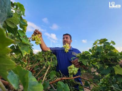 64fcabe3-0a1b-4290-85ca-2a35d71e7638