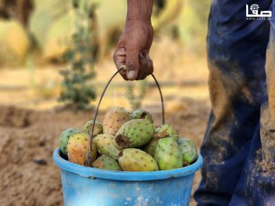 WhatsApp Image 2023-07-11 at 10.10.12 AM