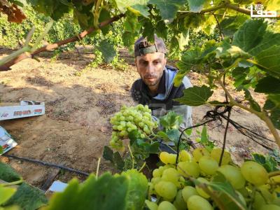 WhatsApp Image 2023-07-11 at 9.31.46 AM