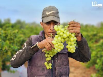 WhatsApp Image 2023-07-11 at 9.31.48 AM (2)