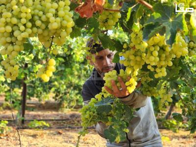 WhatsApp Image 2023-07-11 at 9.31.46 AM (1)