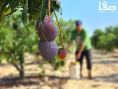 WhatsApp Image 2023-08-02 at 3.16.04 PM (2)