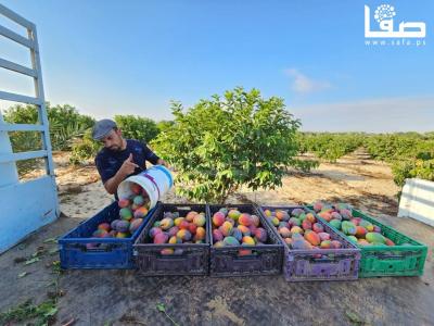 WhatsApp Image 2023-08-02 at 3.16.09 PM