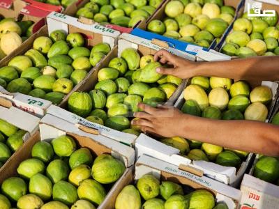 WhatsApp Image 2023-08-22 at 9.53.12 AM