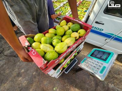 WhatsApp Image 2023-08-22 at 9.53.13 AM