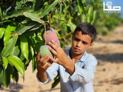 WhatsApp Image 2023-08-02 at 3.16.05 PM (1)