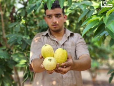 WhatsApp Image 2023-08-22 at 9.53.19 AM (2)