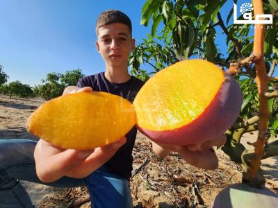 WhatsApp Image 2023-08-02 at 3.16.05 PM (2)