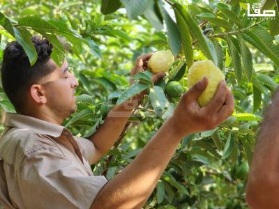 WhatsApp Image 2023-08-22 at 9.53.20 AM