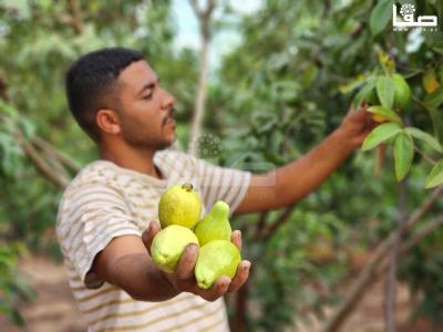 WhatsApp Image 2023-08-22 at 9.53.22 AM