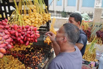 300823_Jericho_MJ_00 (37)