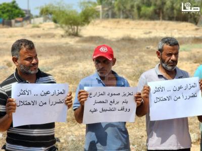 WhatsApp Image 2023-08-31 at 11.18.52 AM