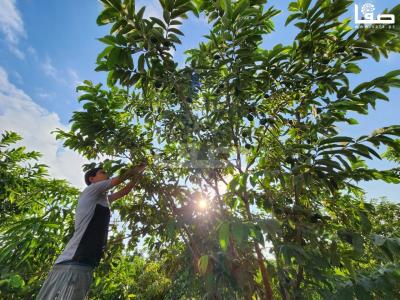 WhatsApp Image 2023-08-22 at 9.53.20 AM (1)