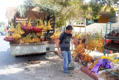 300823_Jericho_MJ_00 (27)