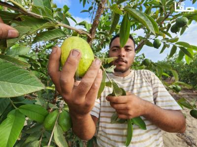 WhatsApp Image 2023-08-22 at 9.53.20 AM (2)