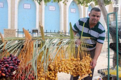 300823_Jericho_MJ_00 (34)