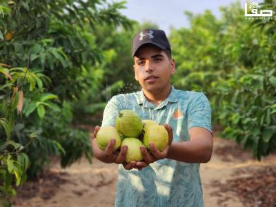 WhatsApp Image 2023-08-22 at 9.53.24 AM (1)