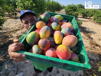 WhatsApp Image 2023-08-02 at 3.16.06 PM (1)