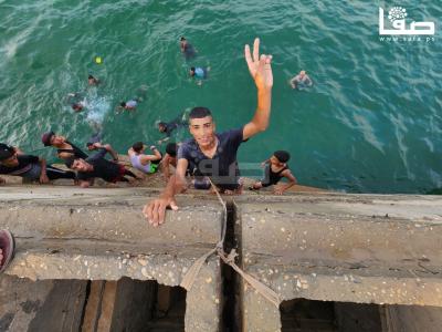 photo_٢٠٢٣-٠٨-٢٠_١٢-٠١-٠٠