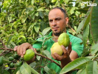 WhatsApp Image 2023-08-22 at 9.53.22 AM (1)