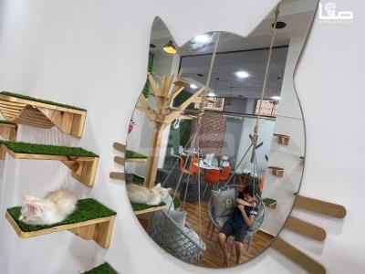 WhatsApp Image 2023-08-19 at 11.50.13 AM