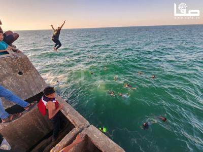 photo_٢٠٢٣-٠٨-٢٠_١٢-٠١-١٤ (2)