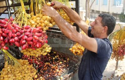 300823_Jericho_MJ_00 (39)