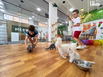 WhatsApp Image 2023-08-19 at 11.50.13 AM (2)