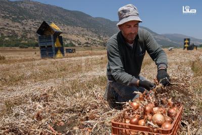 020823_APA_ZU_00 (1)