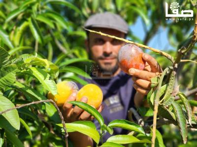 WhatsApp Image 2023-08-02 at 3.16.02 PM