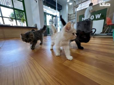 WhatsApp Image 2023-08-19 at 11.50.15 AM