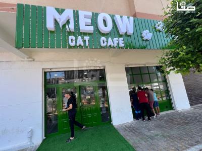 WhatsApp Image 2023-08-19 at 11.50.12 AM