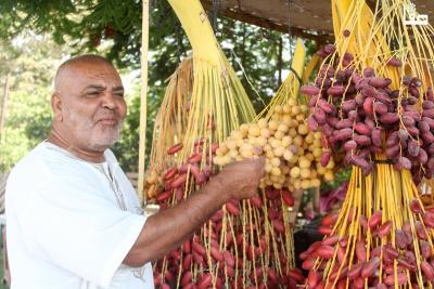 300823_Jericho_MJ_00 (26)