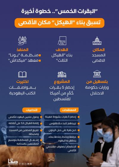 WhatsApp Image 2023-08-10 at 1.17.17 PM