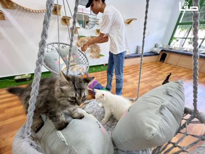 WhatsApp Image 2023-08-19 at 11.50.14 AM (3)