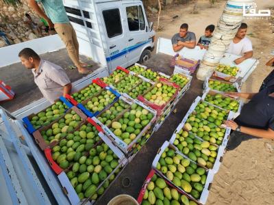 WhatsApp Image 2023-08-22 at 9.53.19 AM