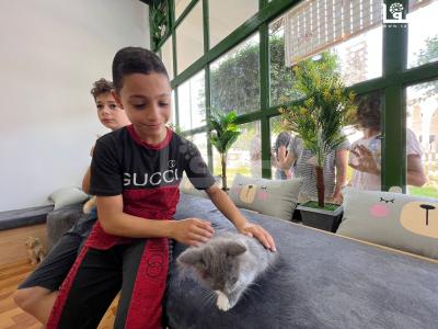 WhatsApp Image 2023-08-19 at 11.50.16 AM