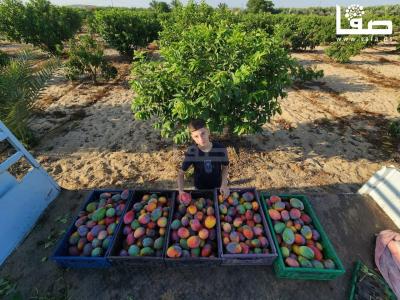 WhatsApp Image 2023-08-02 at 3.16.08 PM (2)