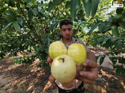 WhatsApp Image 2023-08-22 at 9.53.19 AM (3)