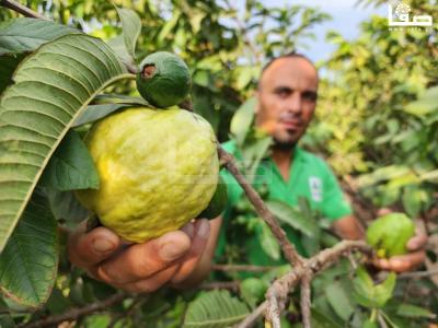 WhatsApp Image 2023-08-22 at 9.53.22 AM (2)