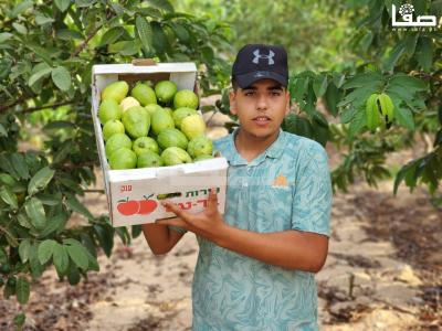 WhatsApp Image 2023-08-22 at 9.53.21 AM