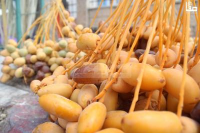 300823_Jericho_MJ_00 (33)