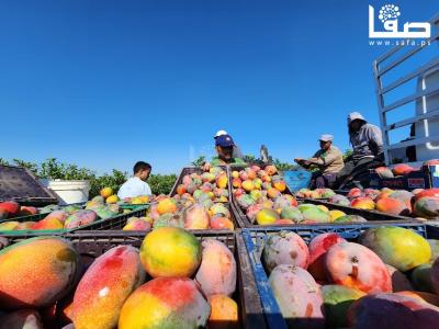 WhatsApp Image 2023-08-02 at 3.16.03 PM (1)