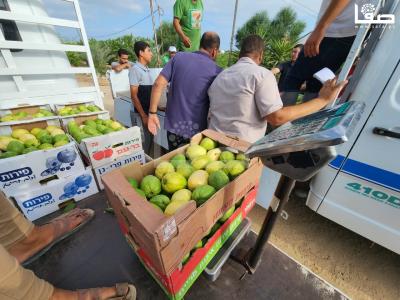 WhatsApp Image 2023-08-22 at 9.53.14 AM